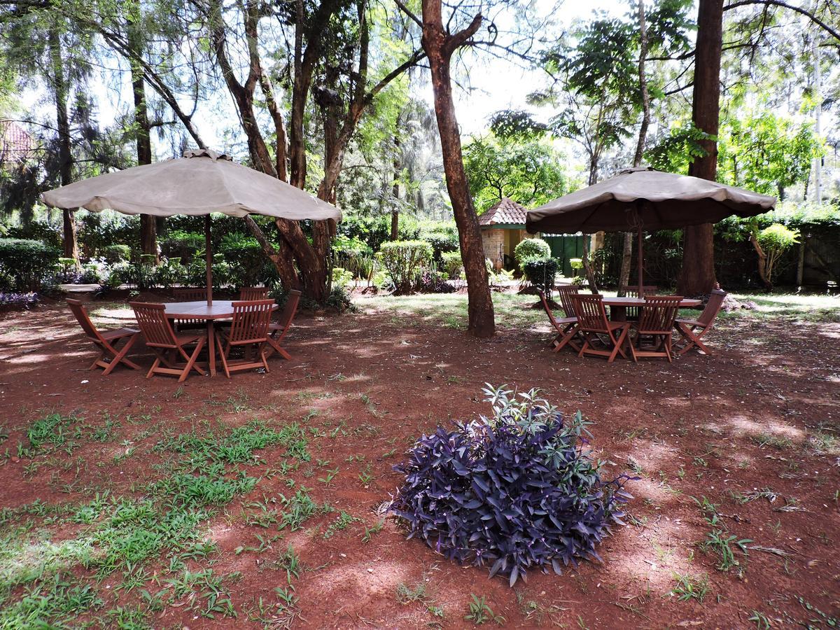 Milimani Backpackers Vandrehjem Nairobi Eksteriør billede