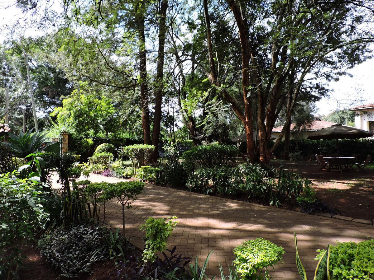 Milimani Backpackers Vandrehjem Nairobi Eksteriør billede
